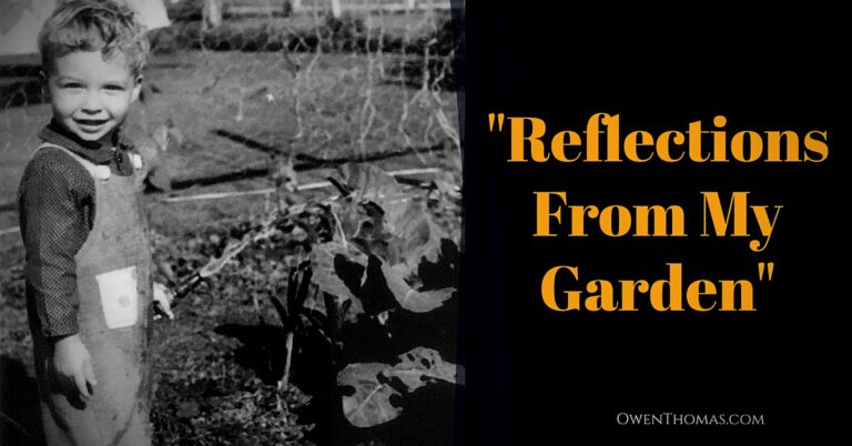 Read more about the article “Reflections From My Garden.”