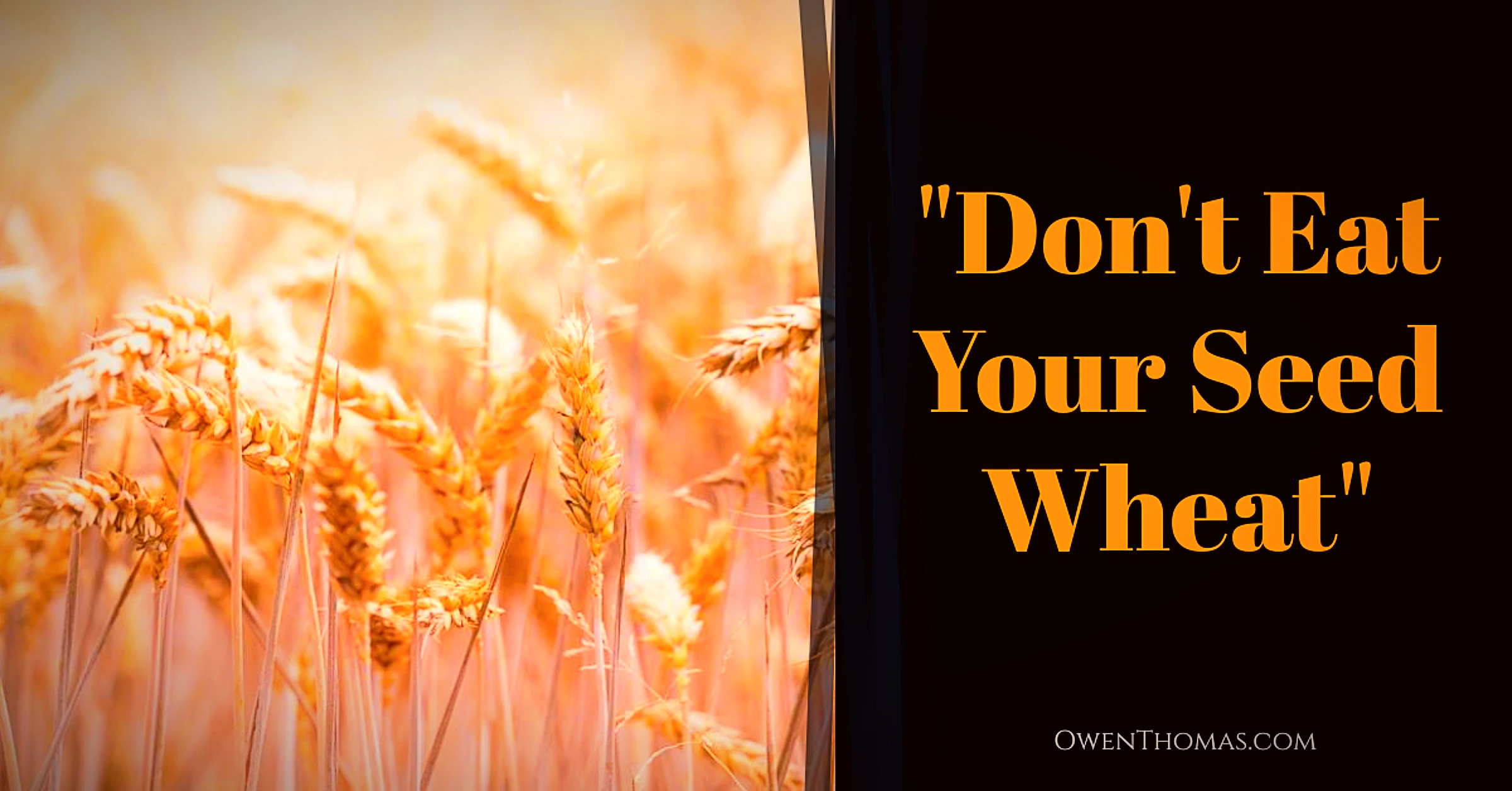 Read more about the article “Don’t Eat Your Seed Wheat”
